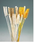 dried flowers d-f078